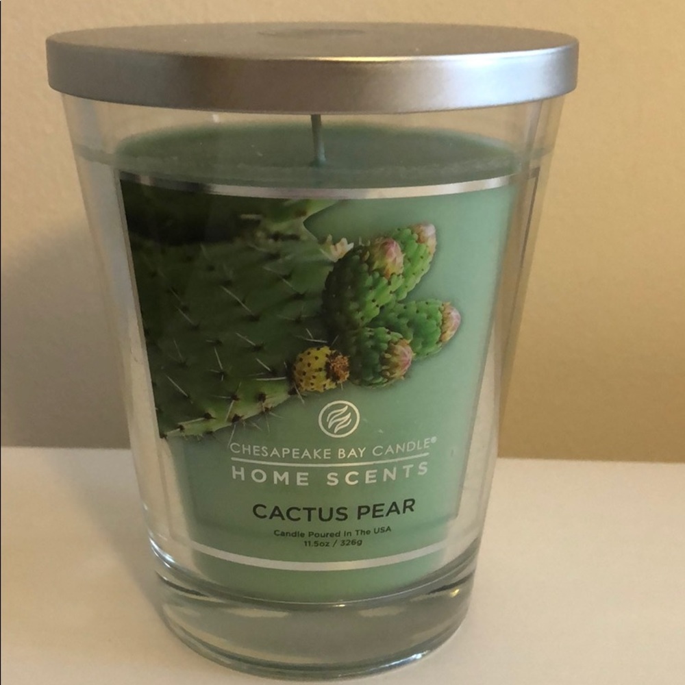 Chesapeake Bay Candles Cactus Pear 11.5oz
